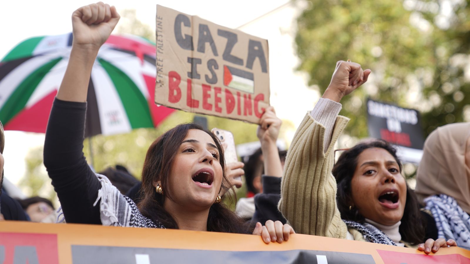 Israel-Hamas war: Labour warns MPs against attending protests and gives warning on party flags | UK News | Sky News